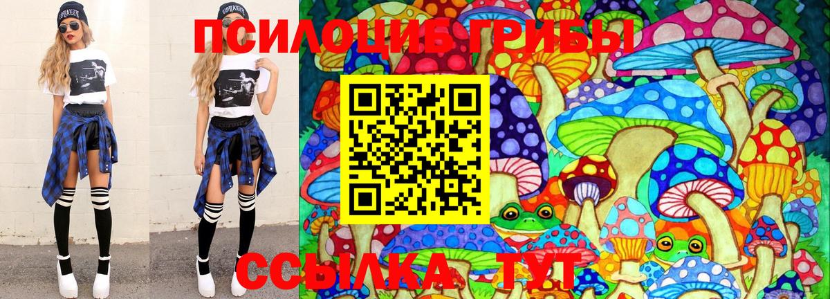Шахты  Псилоцибиновые грибы Cubensis  Вход с VPN 