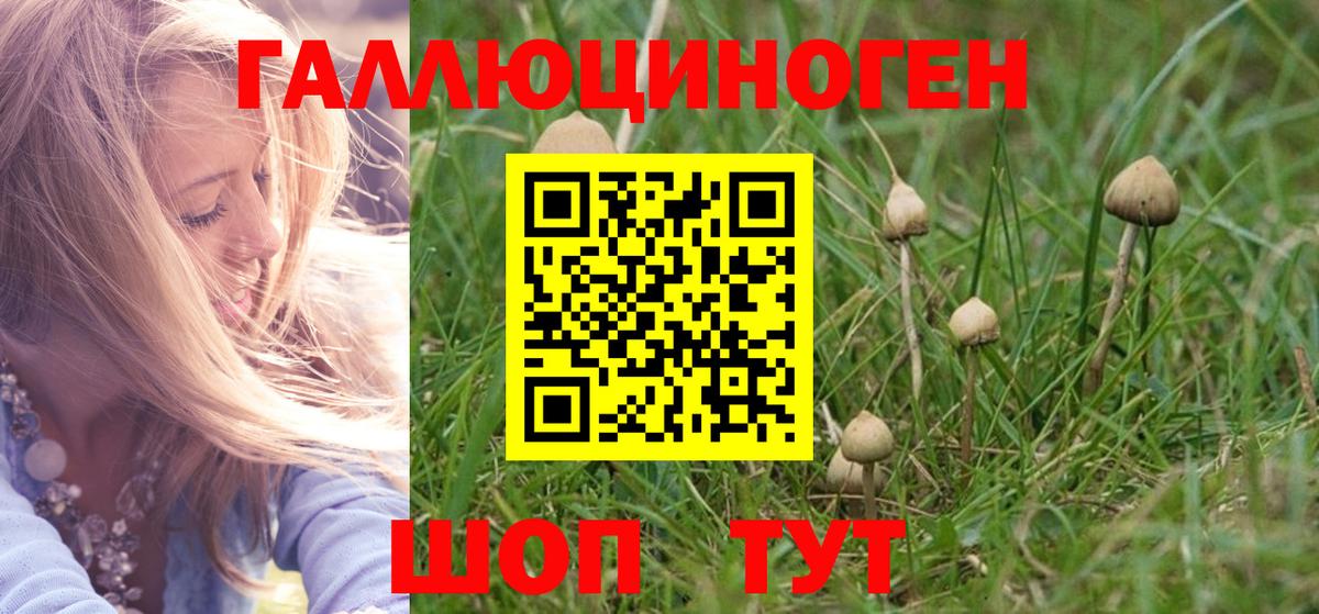 Псилоцибиновые грибы мухоморы Шахты